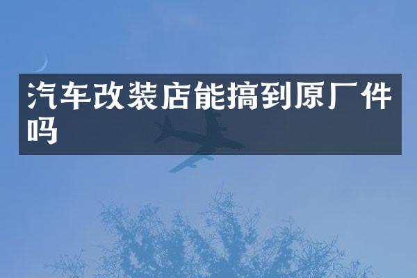 汽车改装店能搞到原厂件吗