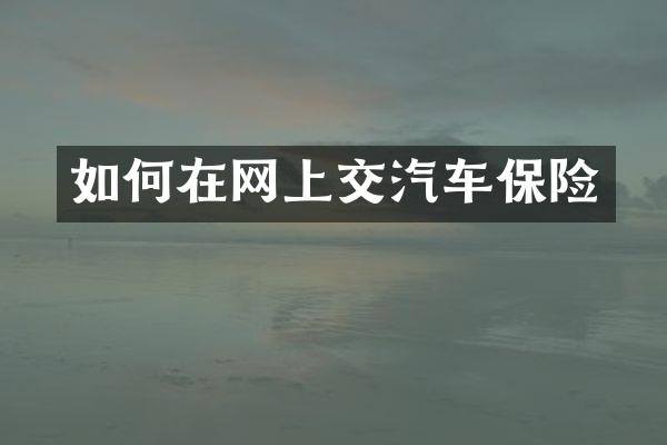 如何在网上交汽车保险