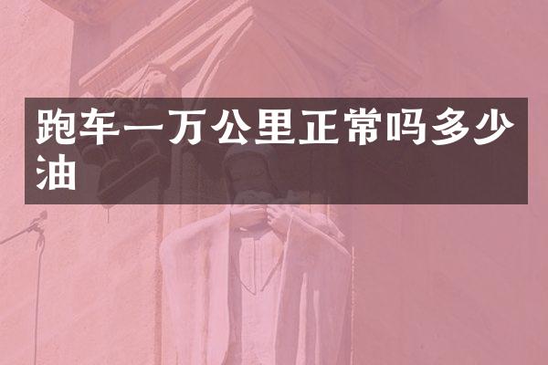 跑车一万公里正常吗多少油