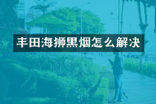 丰田海狮黑烟怎么解决