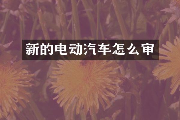 新的电动汽车怎么审