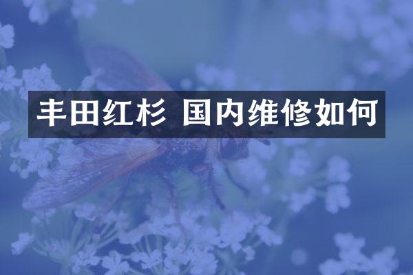 丰田红杉 国内维修如何