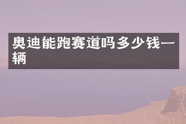 奥迪能跑赛道吗多少钱一辆