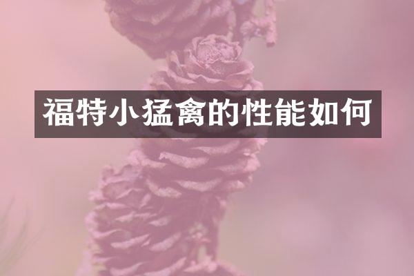 福特小猛禽的性能如何