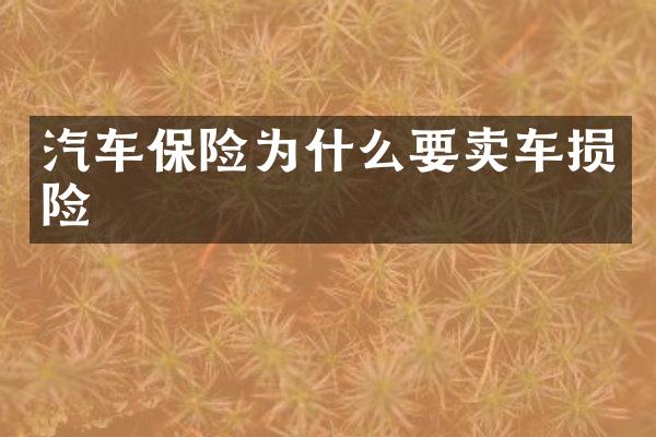 汽车保险为什么要卖车损险
