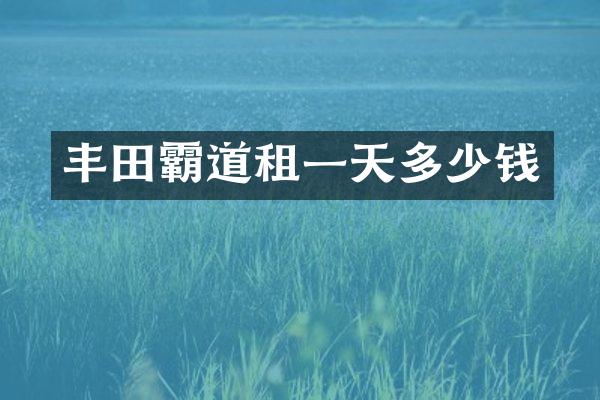 丰田霸道租一天多少钱