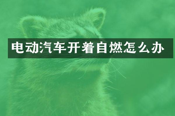 电动汽车开着自燃怎么办