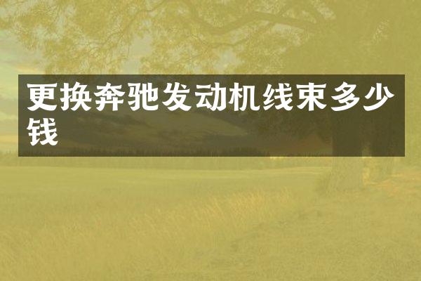 更换奔驰发动机线束多少钱