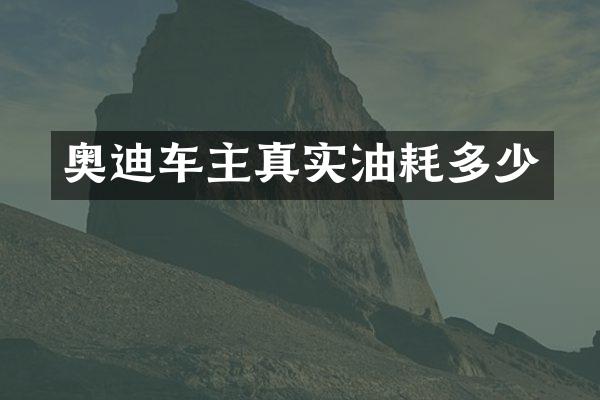 奥迪车主真实油耗多少