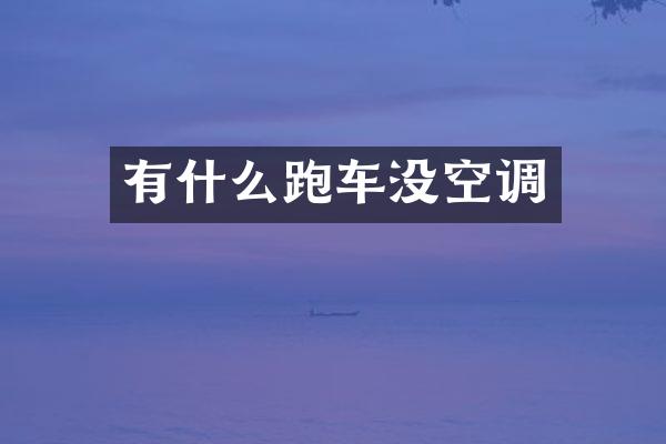 有什么跑车没空调