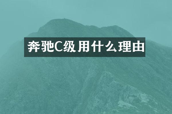 奔驰C级用什么理由