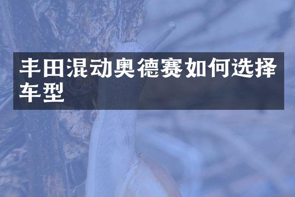 丰田混动奥德赛如何选择车型