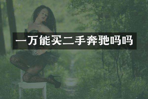 一万能买二手奔驰吗吗