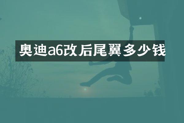 奥迪a6改后尾翼多少钱
