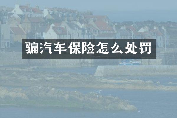 骗汽车保险怎么处罚