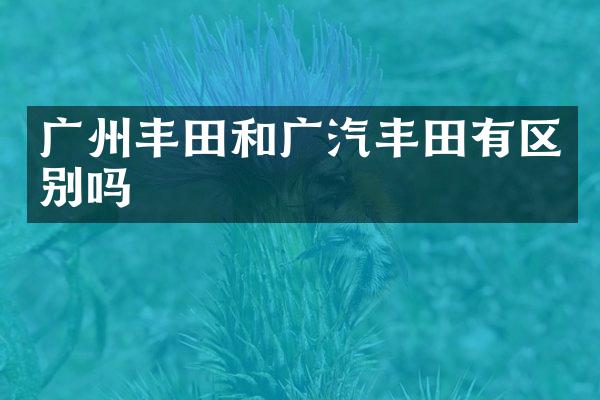 广州丰田和广汽丰田有区别吗