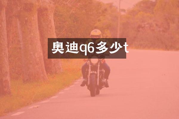 奥迪q6多少t