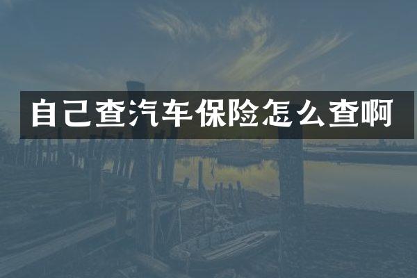 自己查汽车保险怎么查啊