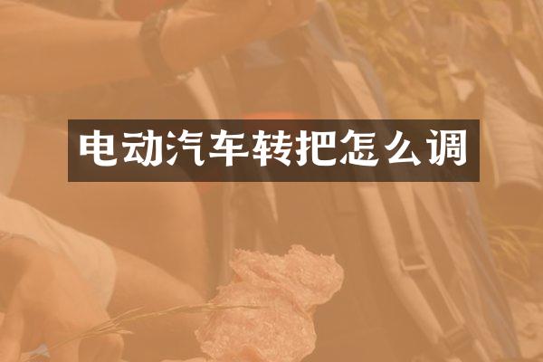 电动汽车转把怎么调