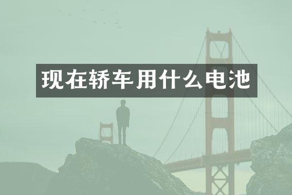 现在轿车用什么电池