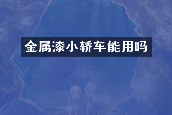 金属漆小轿车能用吗