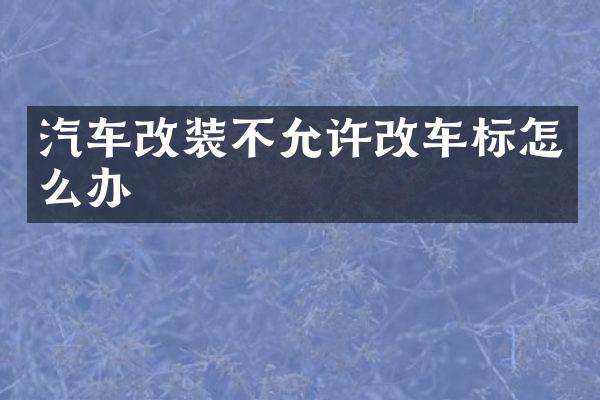 汽车改装不允许改车标怎么办