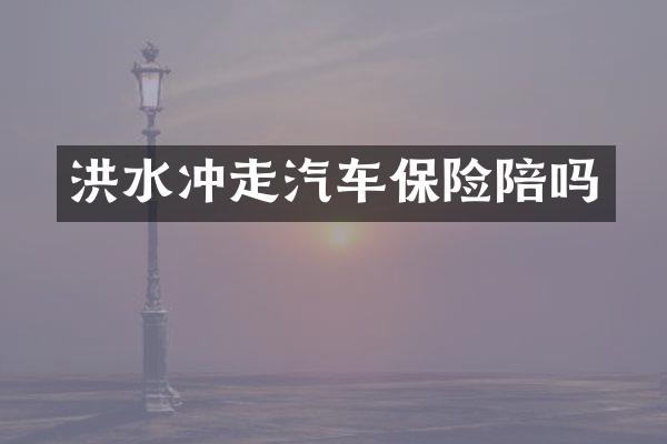 洪水冲走汽车保险陪吗