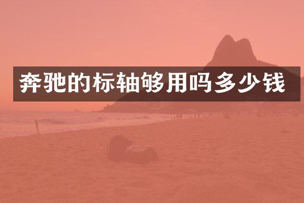 奔驰的标轴够用吗多少钱