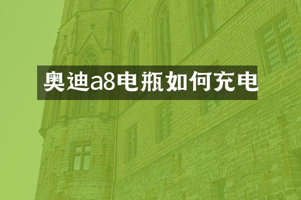 奥迪a8电瓶如何充电