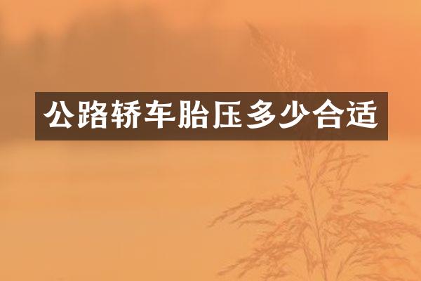 公路轿车胎压多少合适