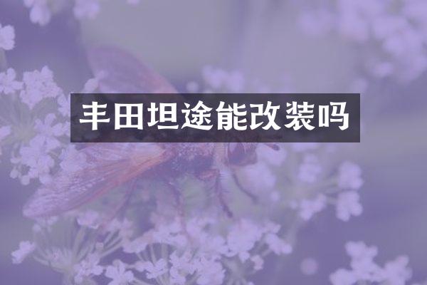 丰田坦途能改装吗