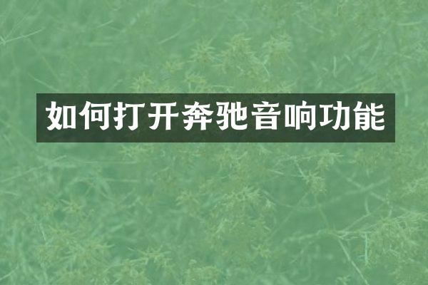 如何打开奔驰音响功能