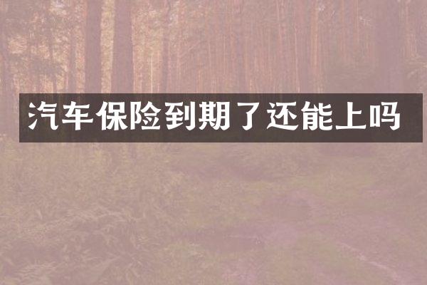 汽车保险到期了还能上吗