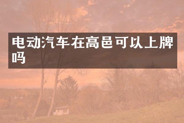 电动汽车在高邑可以上牌吗