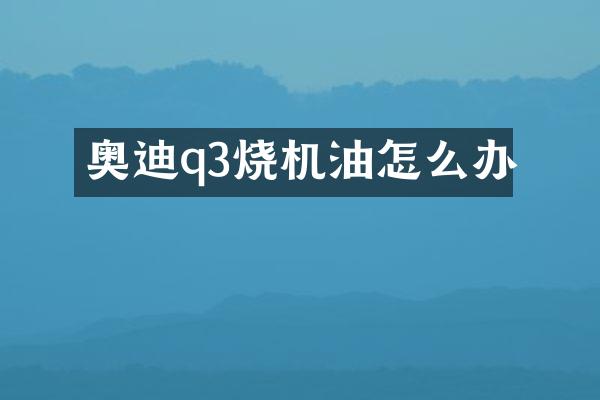 奥迪q3烧机油怎么办