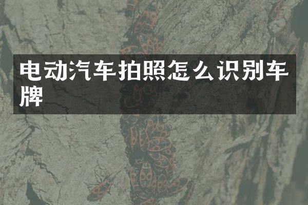 电动汽车拍照怎么识别车牌