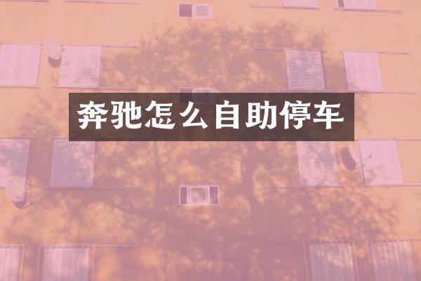 奔驰怎么自助停车