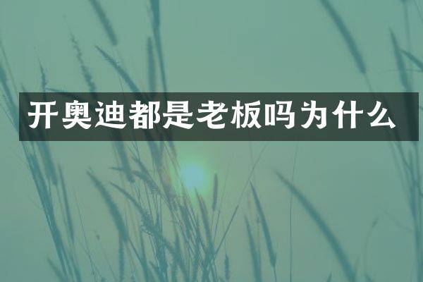 开奥迪都是老板吗为什么