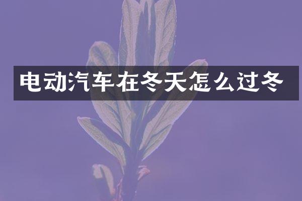 电动汽车在冬天怎么过冬