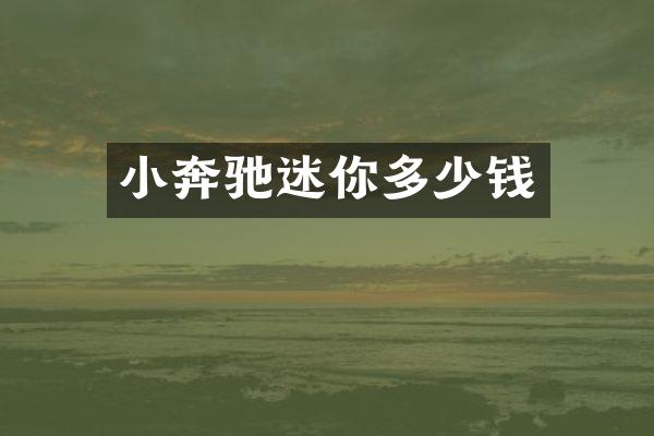 小奔驰迷你多少钱