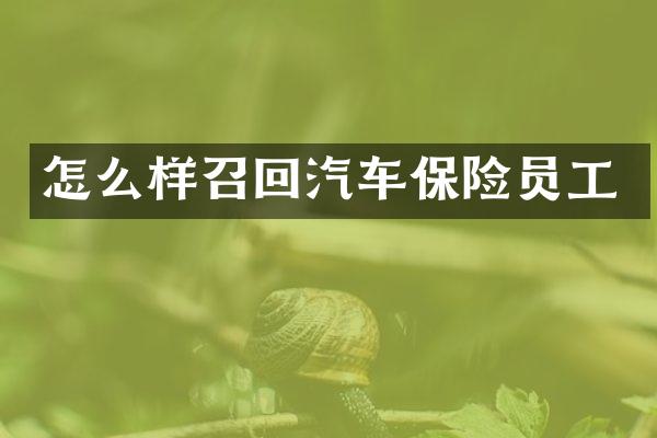 怎么样召回汽车保险员工
