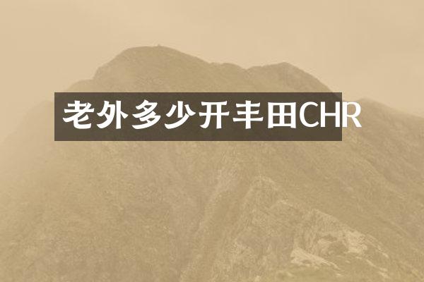 老外多少开丰田CHR