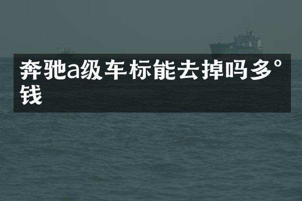 奔驰a级车标能去掉吗多少钱