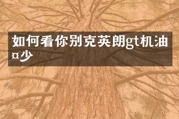 如何看你别克英朗gt机油多少