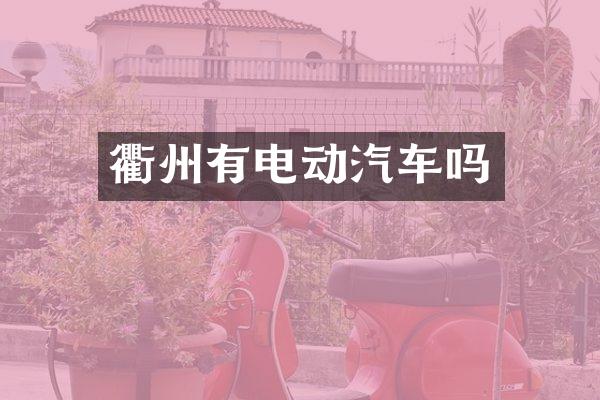衢州有电动汽车吗