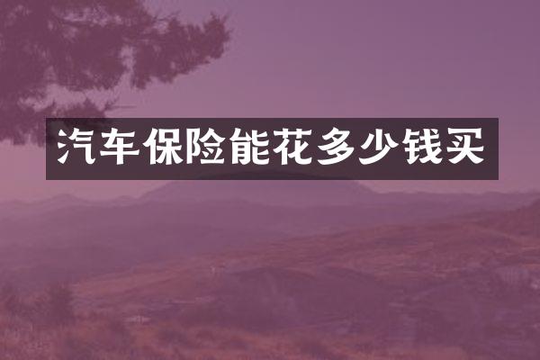 汽车保险能花多少钱买