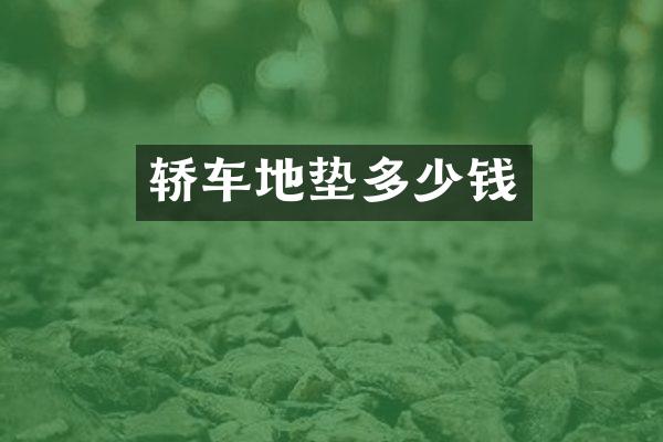 轿车地垫多少钱