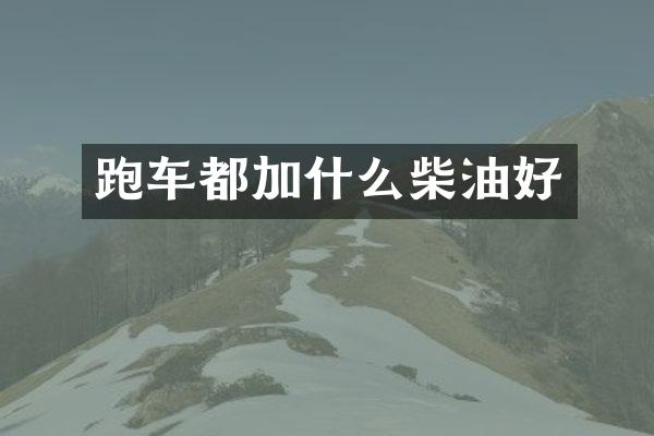 跑车都加什么柴油好