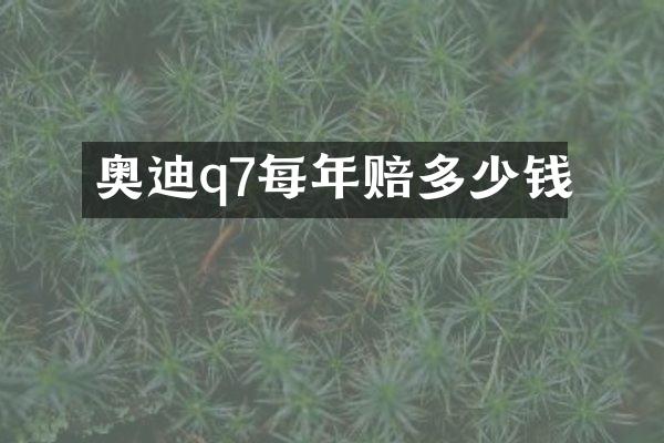 奥迪q7每年赔多少钱