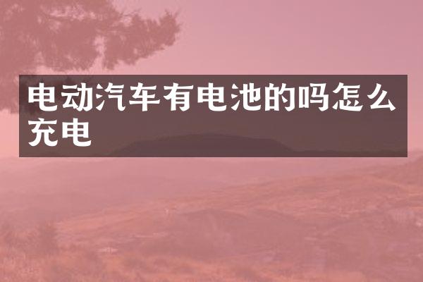 电动汽车有电池的吗怎么充电